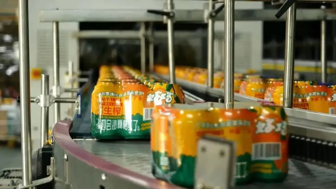 四會(huì)大沙：以桔為媒搭起“兩化融合”一道橋
