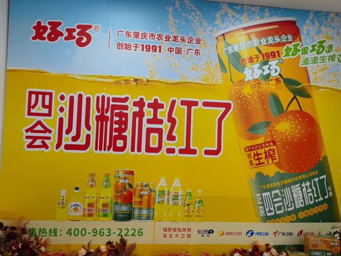 品牌大旺 | 做強做大沙糖桔產業(yè)，好巧奏響品牌更強音！