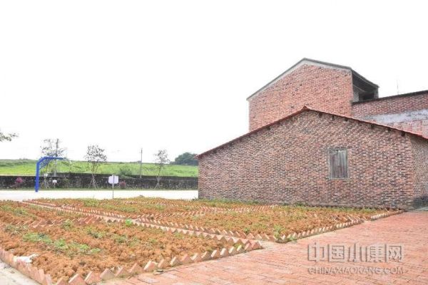 廣東四會(huì)：“代表聯(lián)絡(luò)站”助力推進(jìn)“百千萬工程”