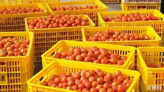 經(jīng)銷商請(qǐng)注意，夏季飲料大戰(zhàn)開鑼，好巧開啟“冰爽行動(dòng)”！